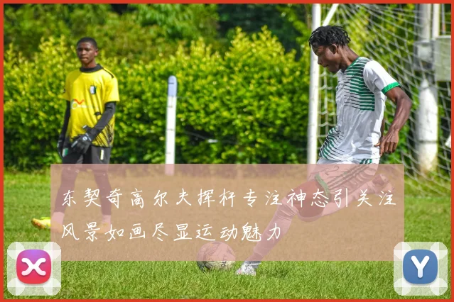东契奇高尔夫挥杆专注神态引关注风景如画尽显运动魅力